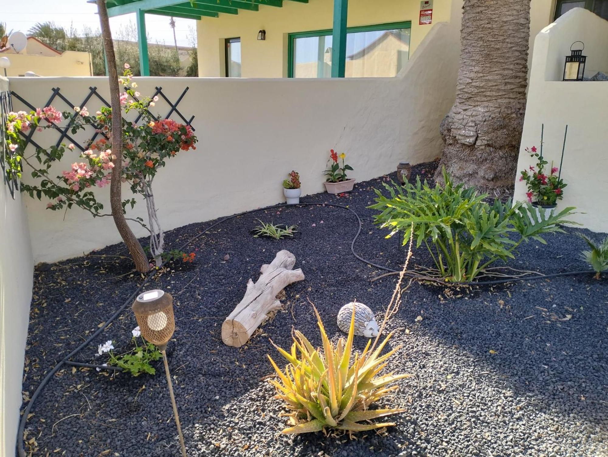 Montes Blancos Apartment Costa Calma